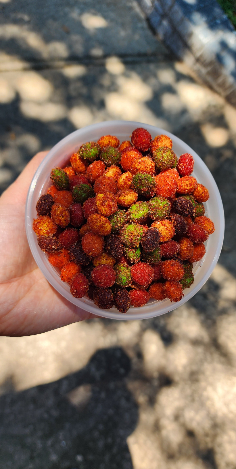 Yummy Gummy BUNDLE