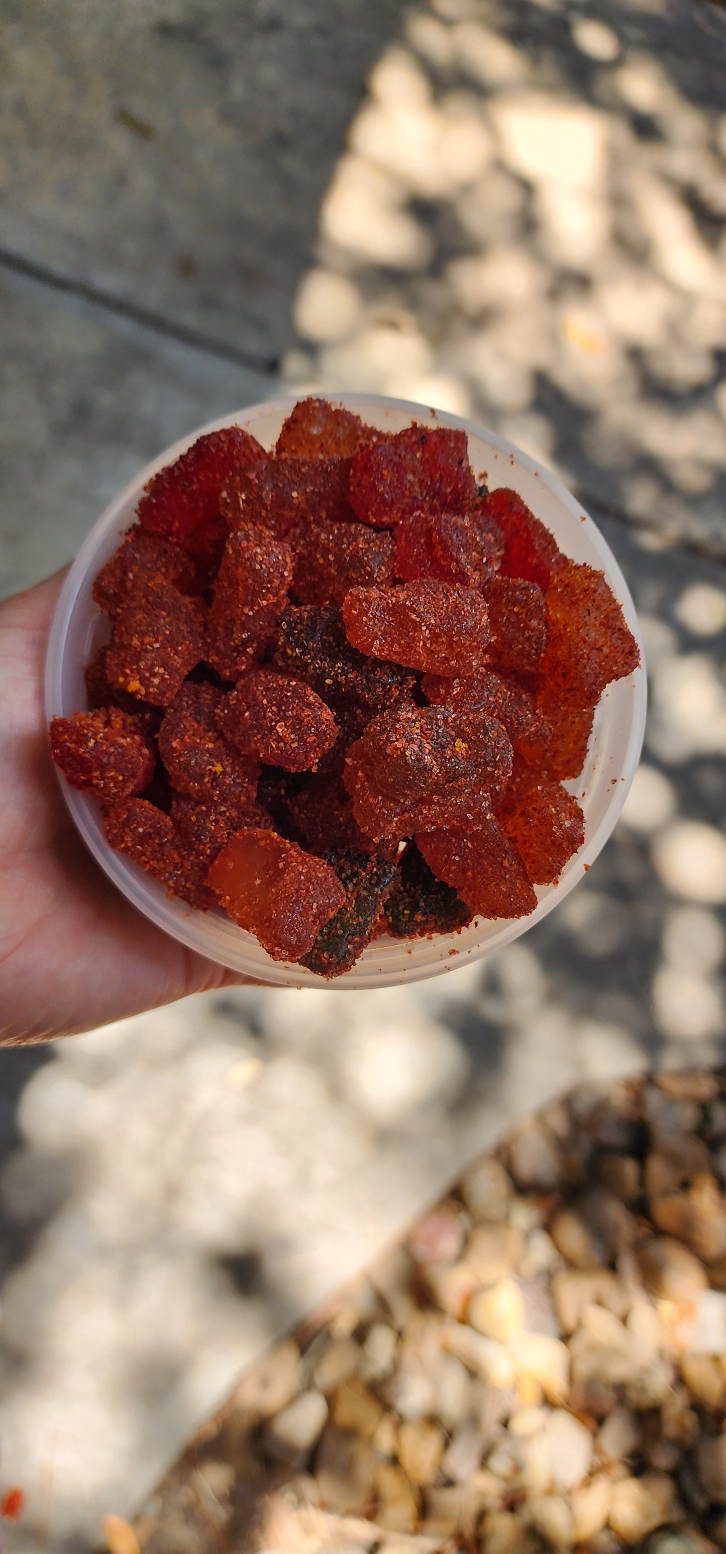 Yummy Chamoy Gummy Bears